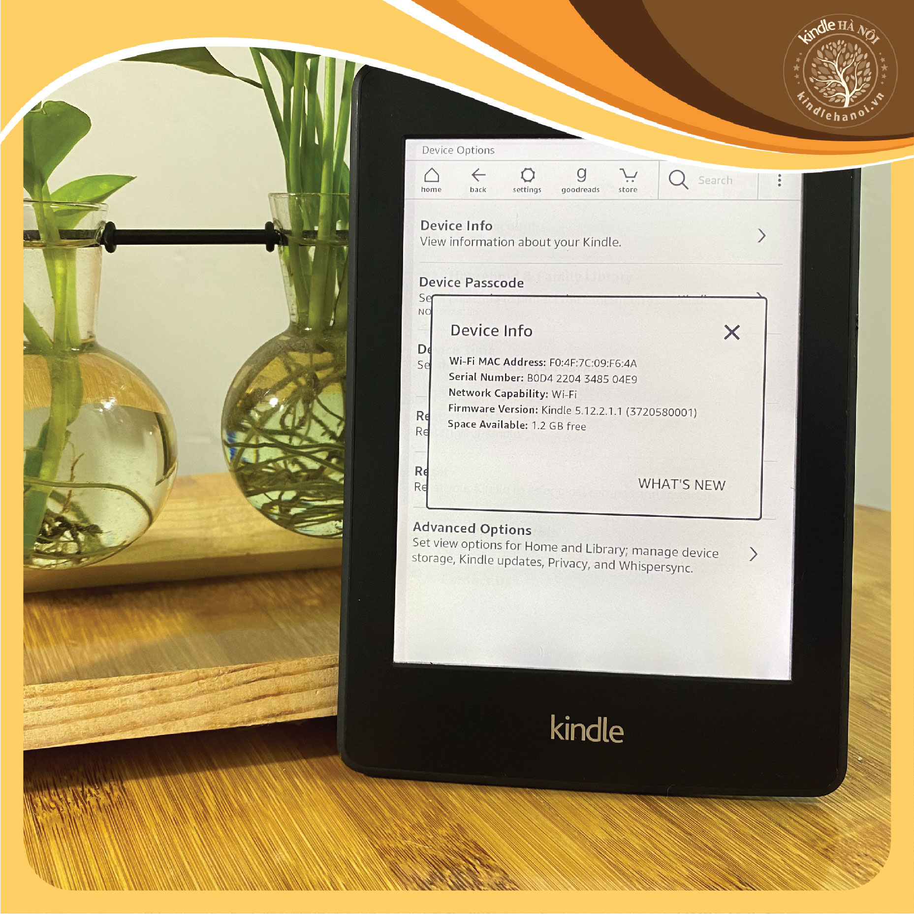 (USED GOOD) Máy đọc sách Kindle Paperwhite 2 (6th) Kindle PPW2 có đèn nền, màn hình 6inch 300PPI, RAM 512Mb, Bộ nhớ 2GB